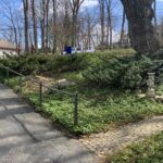 thumbnail_IMG_4249